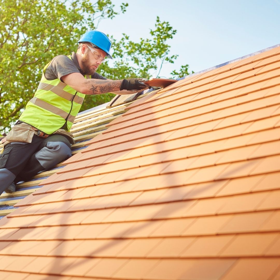 How often should I have my roof cleaned?